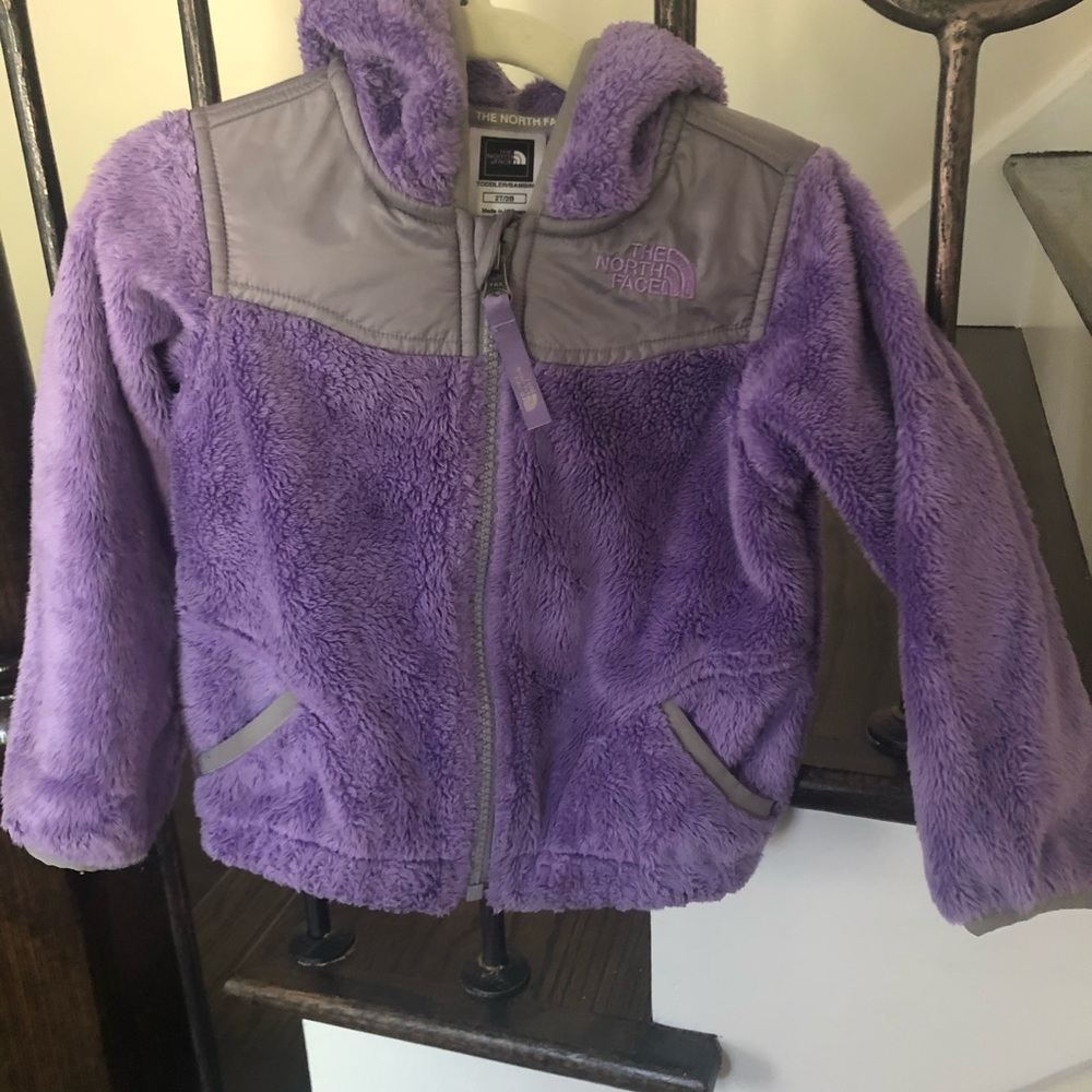 Toddler North Face Jacket
